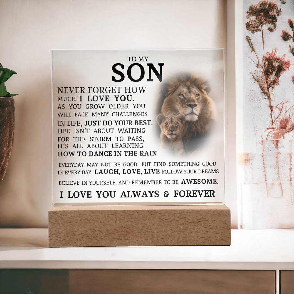To My Son, LED Acrylic Plaque