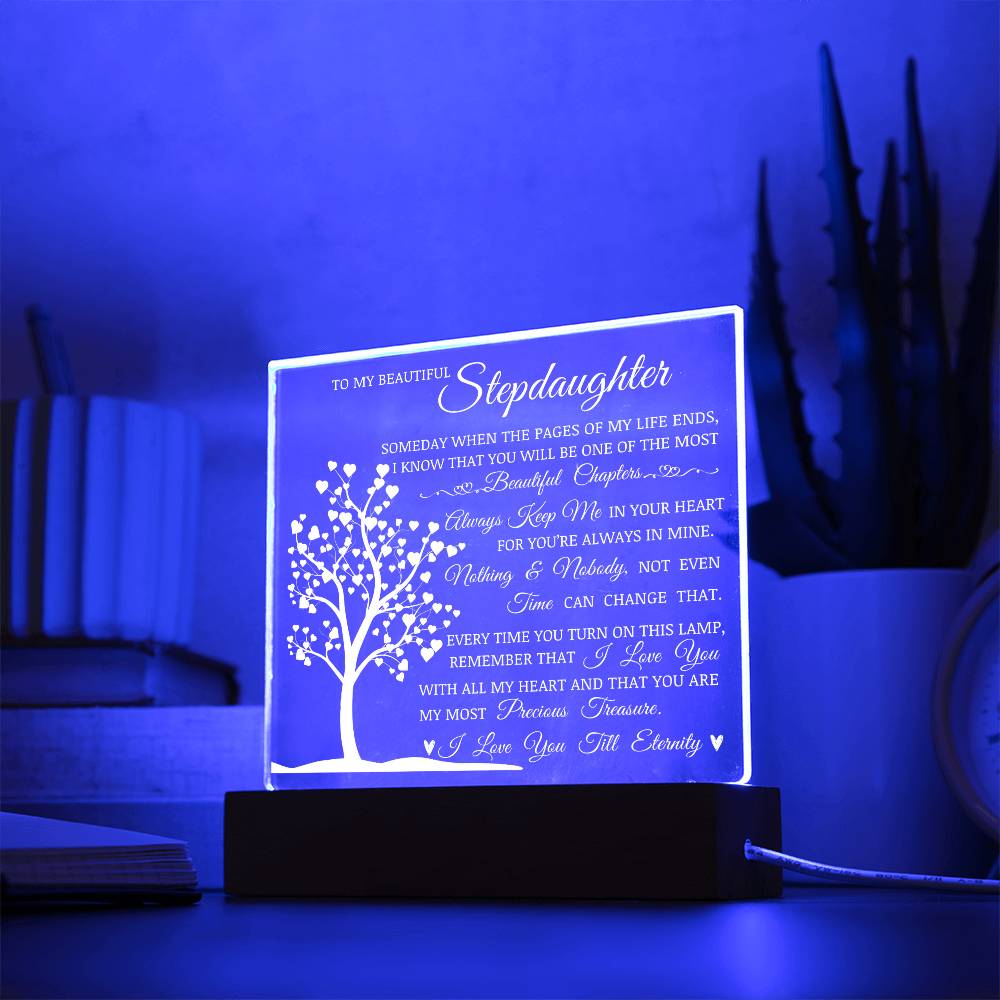 To My Beautiful Stepdaughter, You Are My Most Precious Treasure, Acrylic Plaque