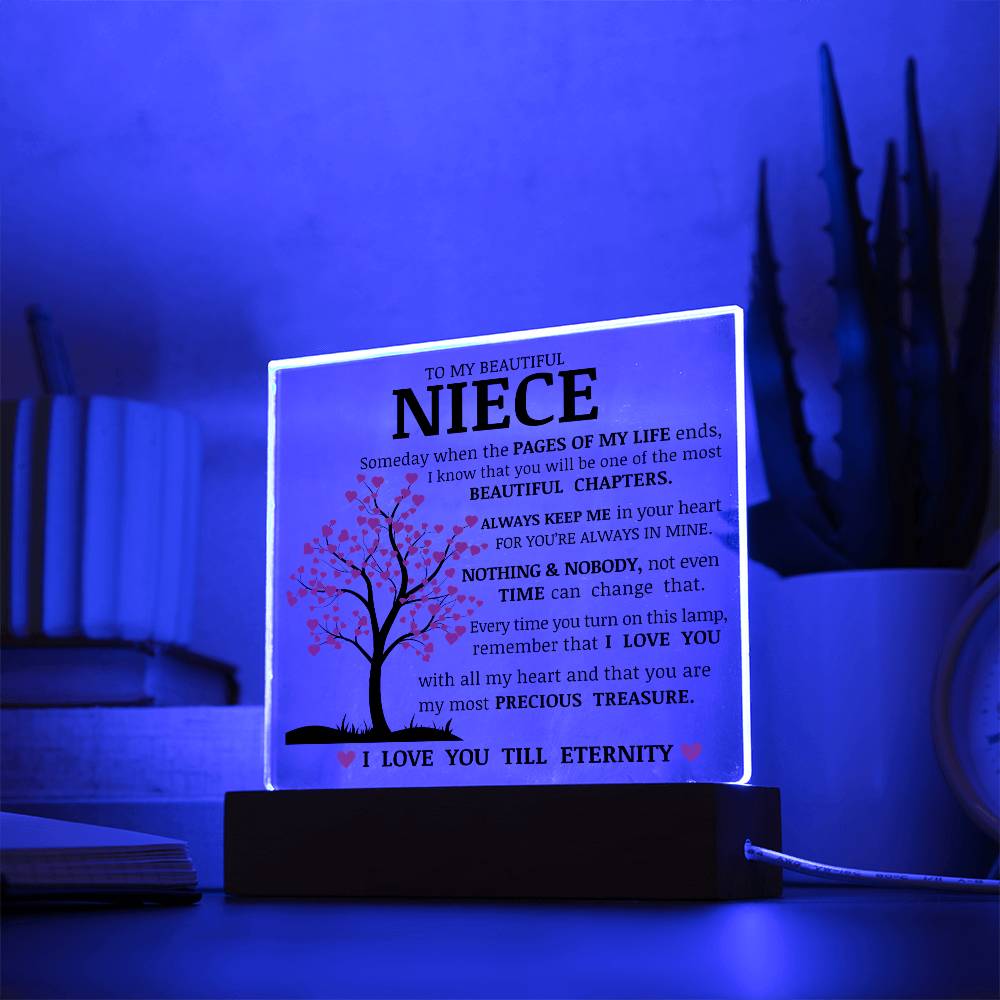 To My Beautiful Niece, You Are My Most Precious Treasure, Acrylic Plaque