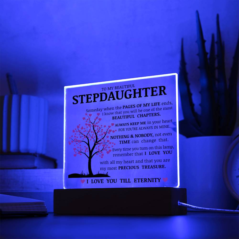 To My Beautiful Stepdaughter, You Are My Most Precious Treasure, Acrylic Plaque