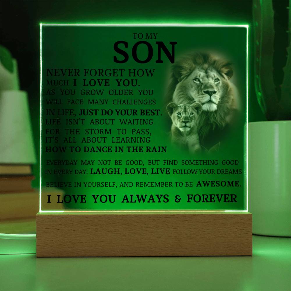 To My Son, LED Acrylic Plaque