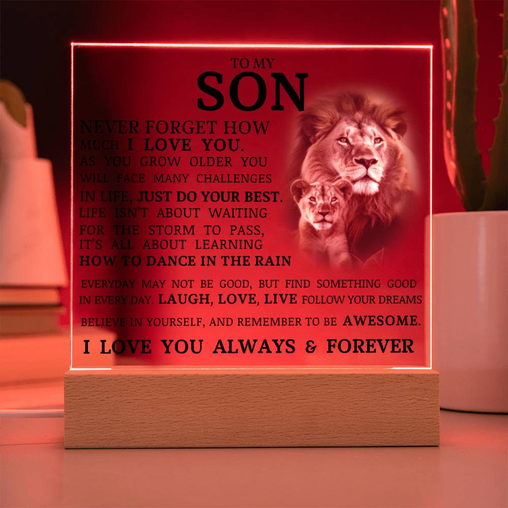 To My Son, LED Acrylic Plaque
