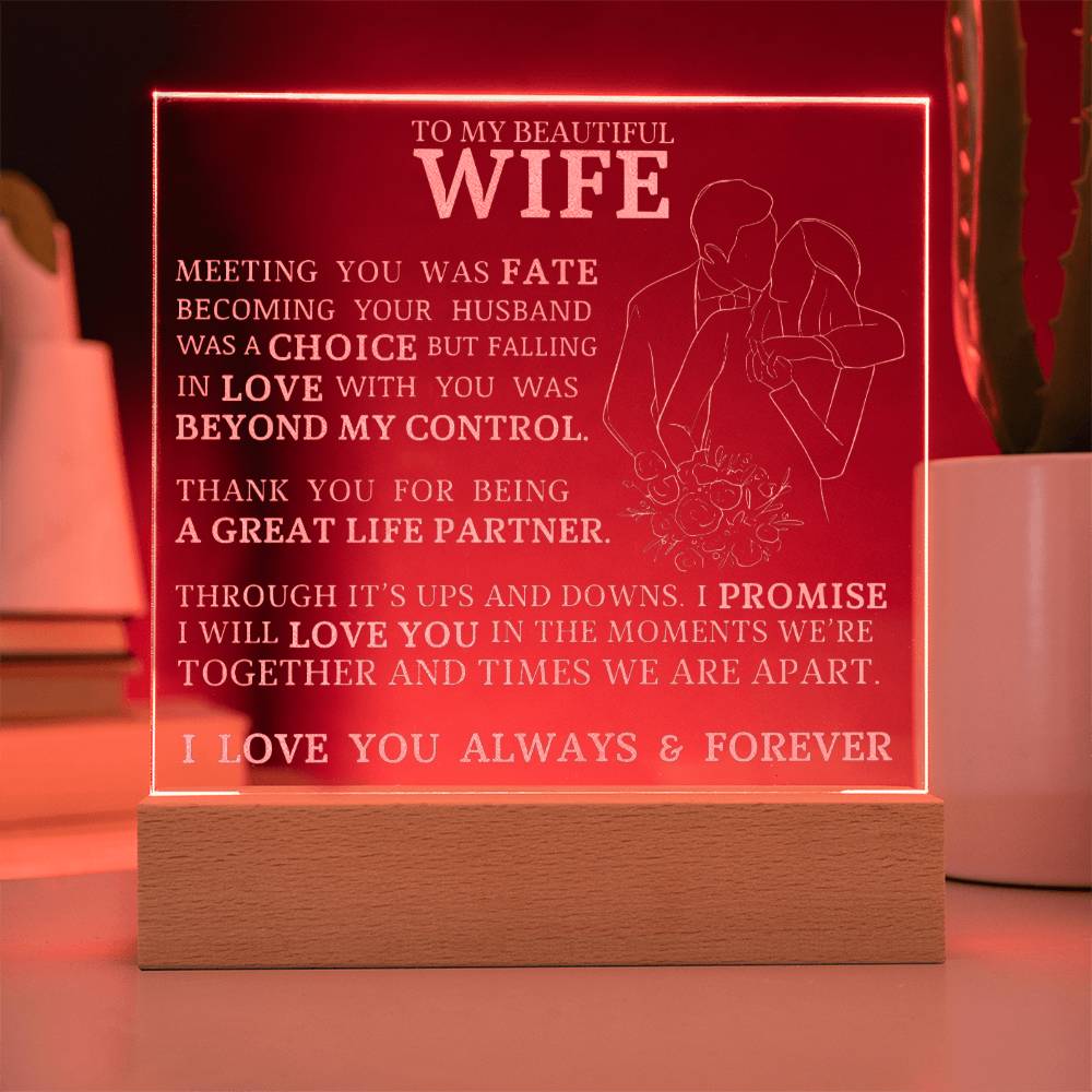 To My Beautiful Wife, Meeting You Was Fate
