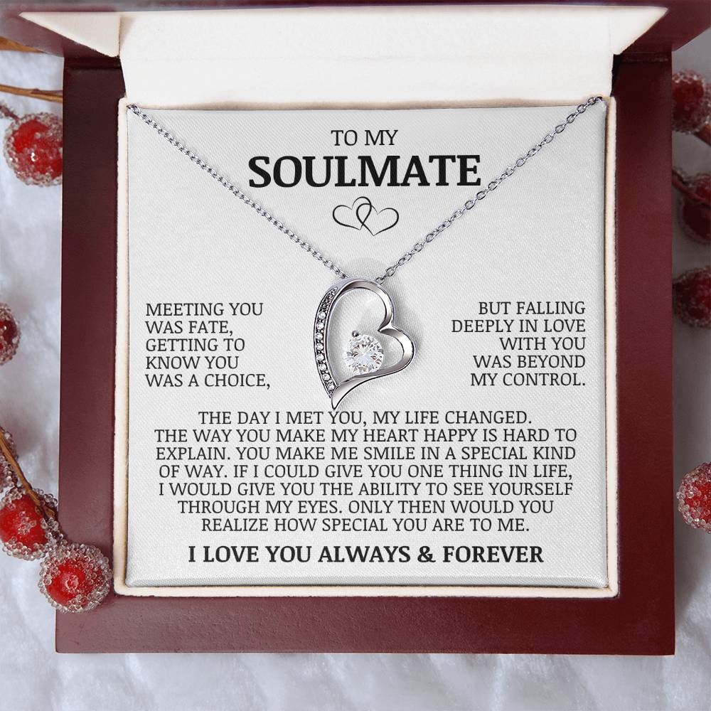 To My Soulmate "Meeting You Was Fate" Forever Love Necklace