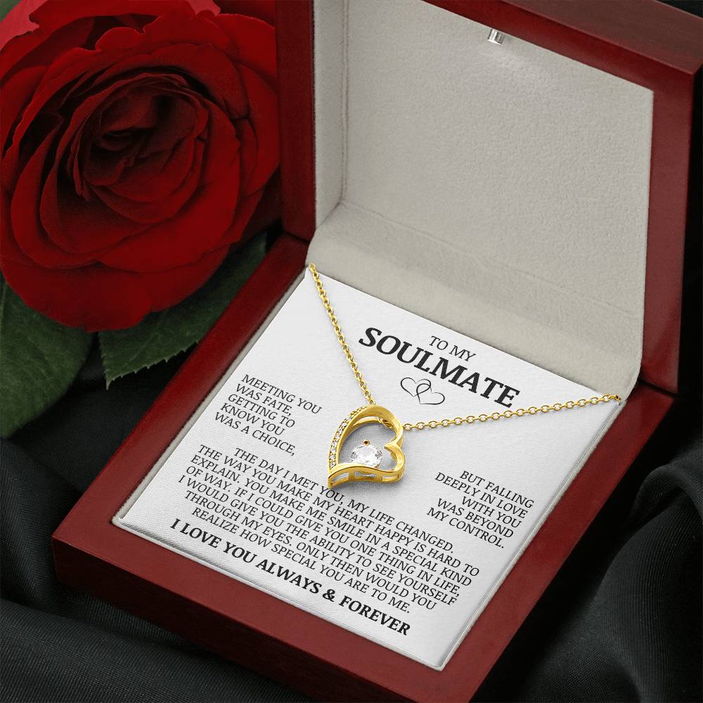 To My Soulmate "Meeting You Was Fate" Forever Love Necklace
