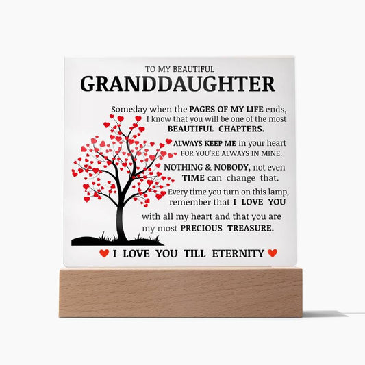 To My Beautiful Granddaughter, You Are My Most Precious Treasure, Acrylic Plaque