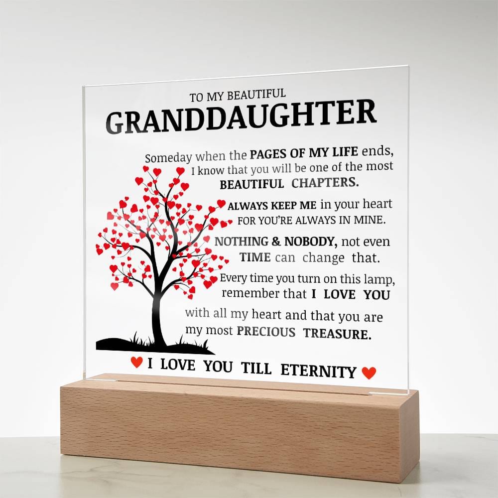 To My Beautiful Granddaughter, You Are My Most Precious Treasure, Acrylic Plaque