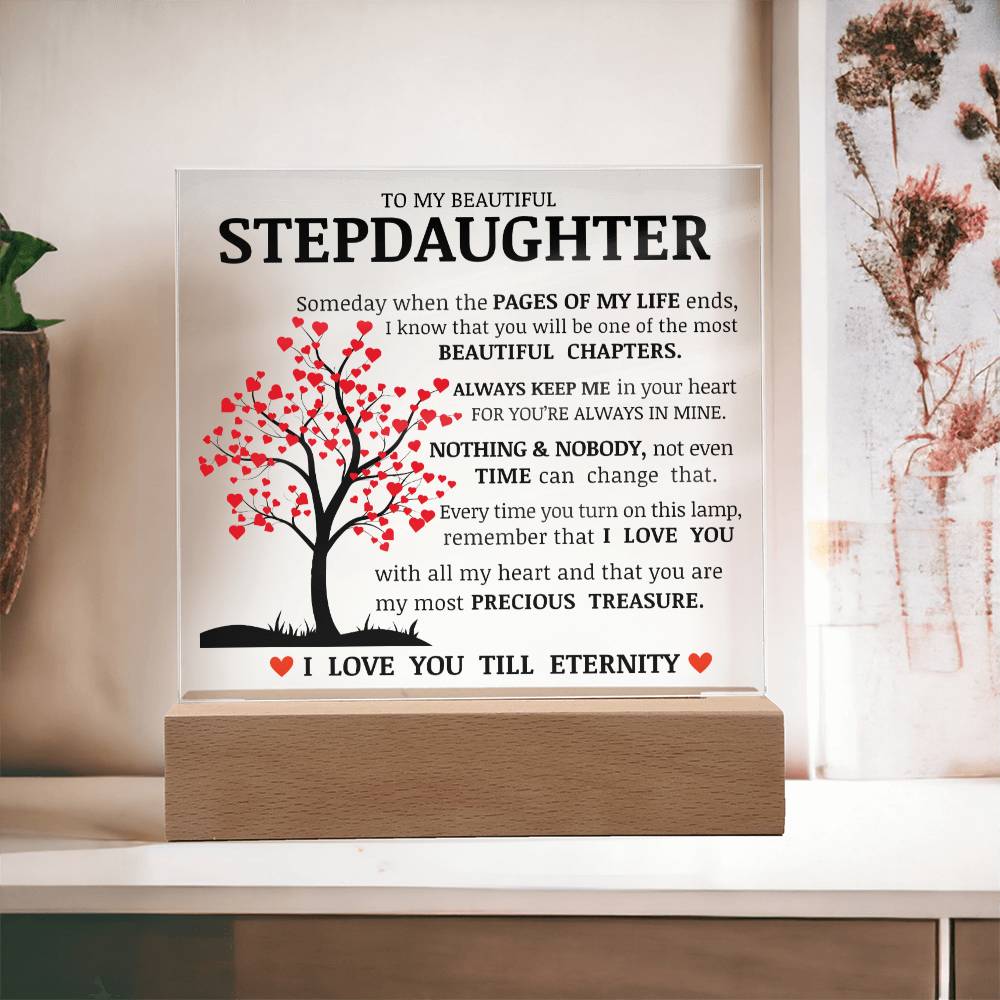To My Beautiful Stepdaughter, You Are My Most Precious Treasure, Acrylic Plaque