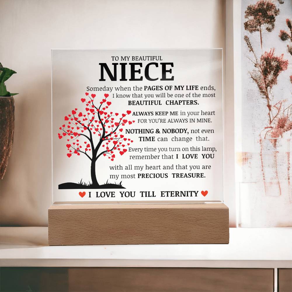 To My Beautiful Niece, You Are My Most Precious Treasure, Acrylic Plaque