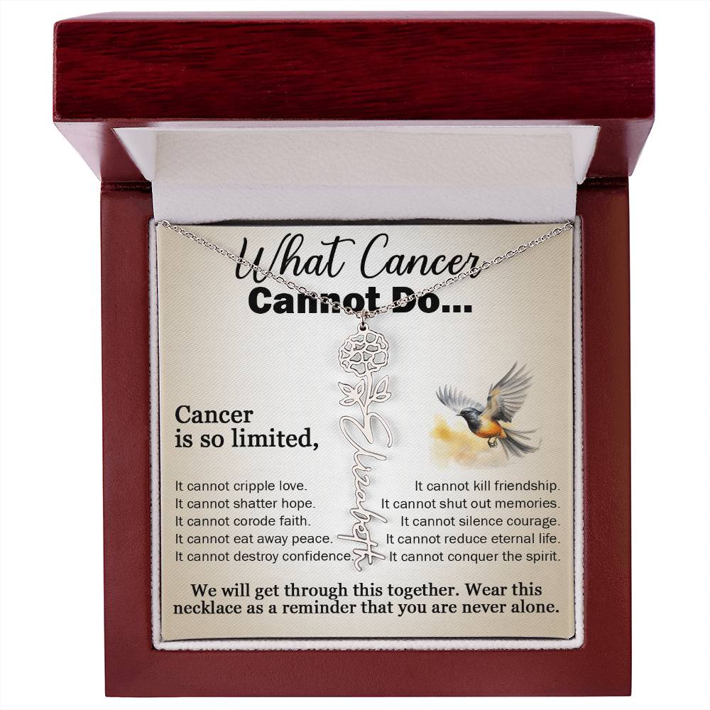 Cancer Gifts for Women, Jewelry for Cancer Survivor, Inspirational Necklaces with Meaningful Caring Message Card and Gift Box, Cancer Gifts for Friends, Mom, Daughter, Patients