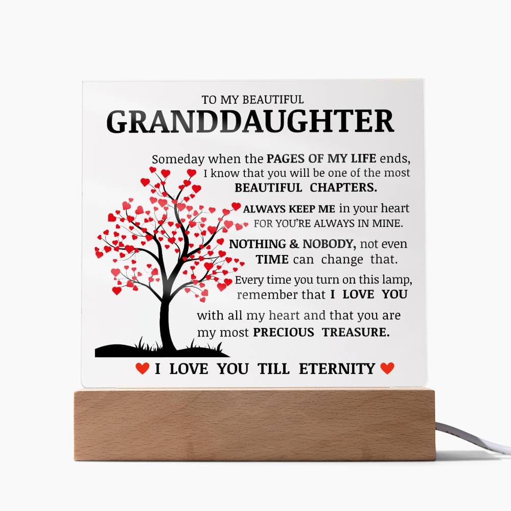 To My Beautiful Granddaughter, You Are My Most Precious Treasure, Acrylic Plaque