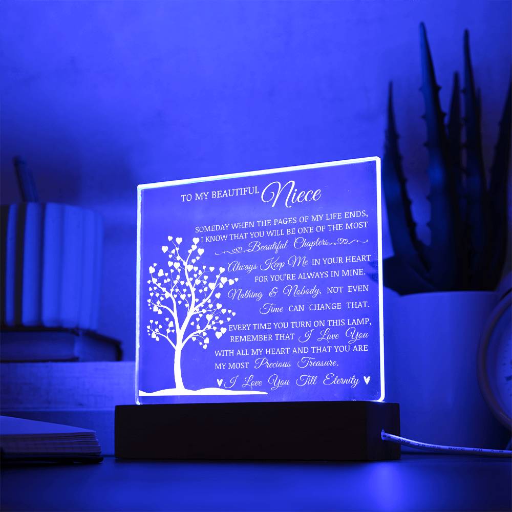 To My Beautiful Niece, You Are My Most Precious Treasure, Acrylic Plaque