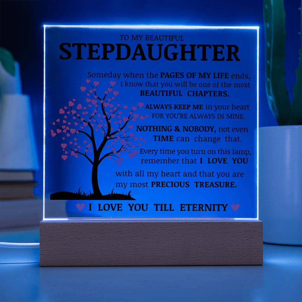 To My Beautiful Stepdaughter, You Are My Most Precious Treasure, Acrylic Plaque
