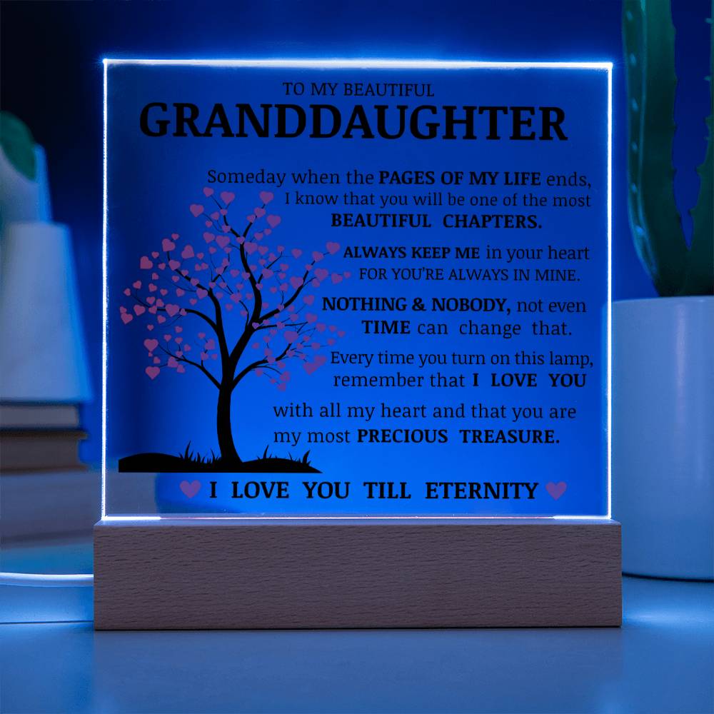 To My Beautiful Granddaughter, You Are My Most Precious Treasure, Acrylic Plaque