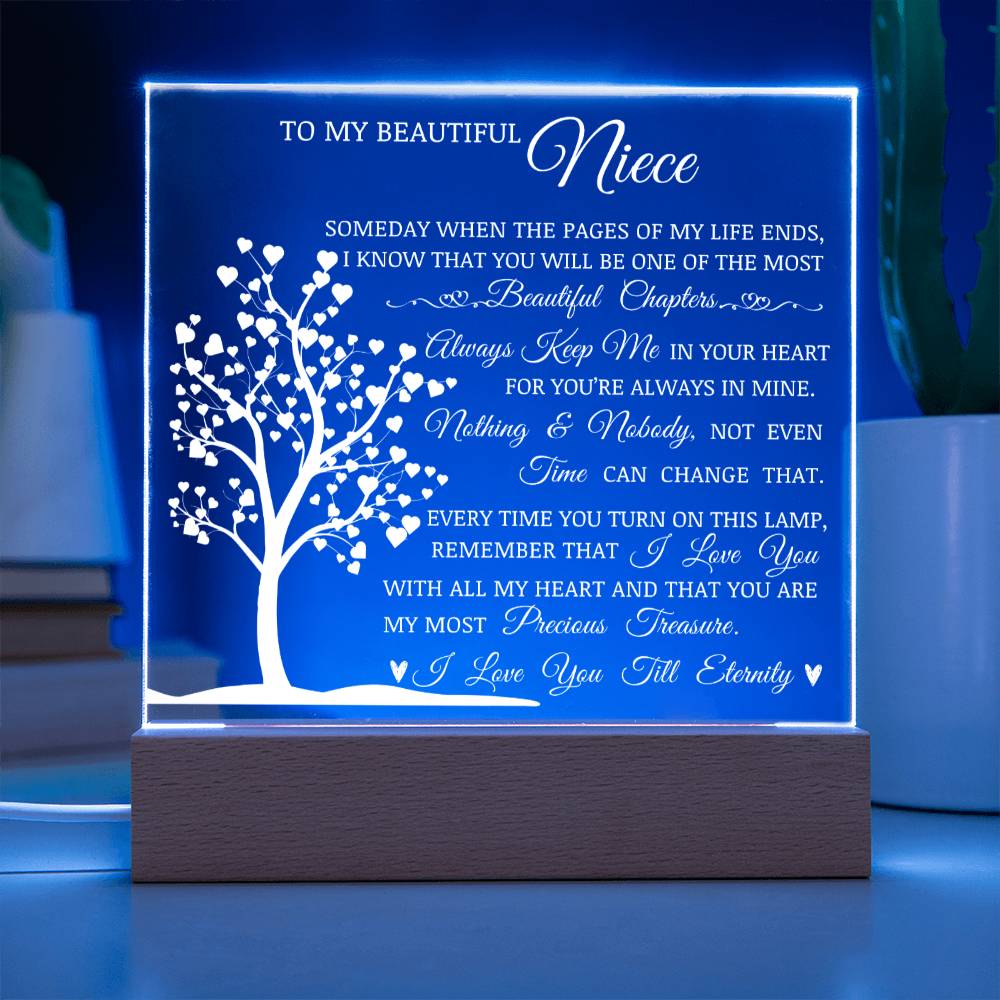 To My Beautiful Niece, You Are My Most Precious Treasure, Acrylic Plaque