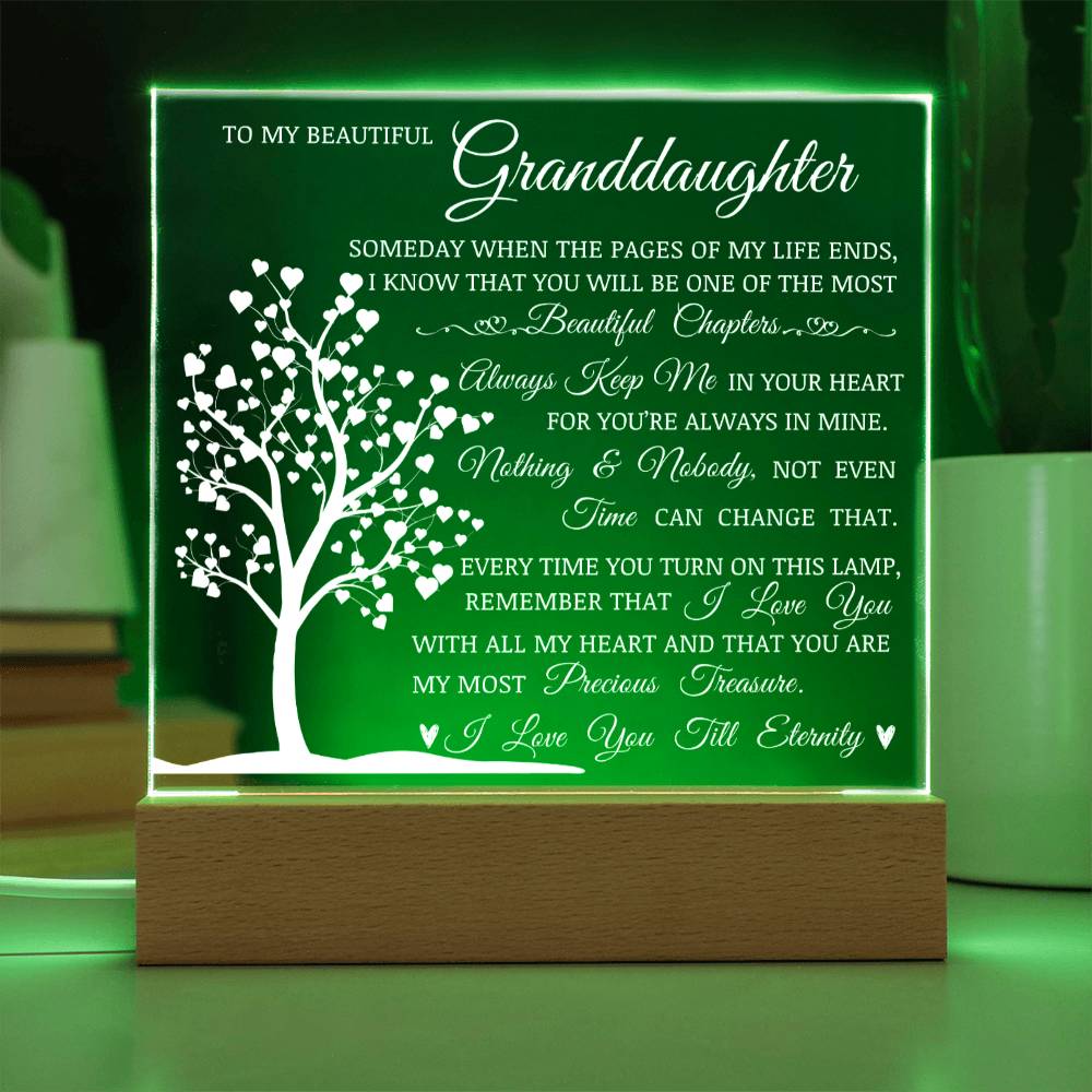 To My Beautiful Granddaughter, You Are My Most Precious Treasure, Acrylic Plaque