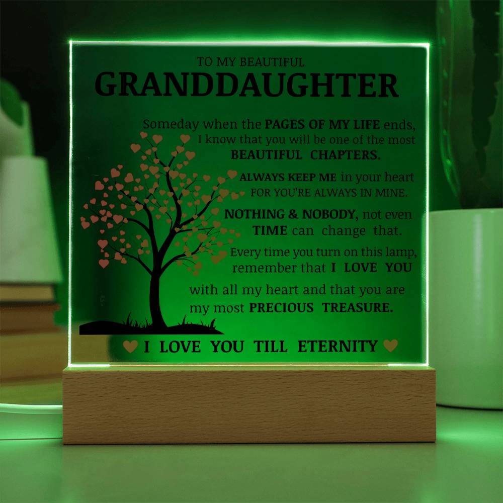 To My Beautiful Granddaughter, You Are My Most Precious Treasure, Acrylic Plaque