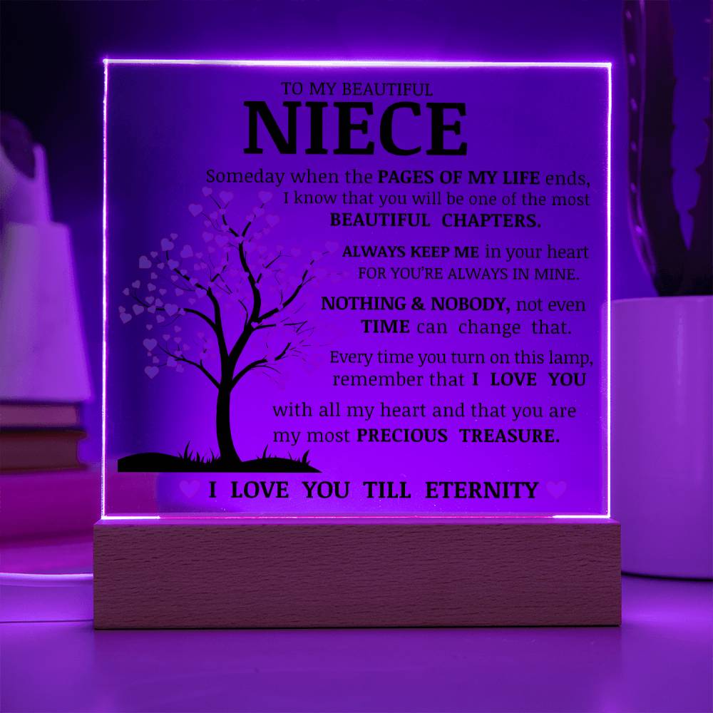 To My Beautiful Niece, You Are My Most Precious Treasure, Acrylic Plaque
