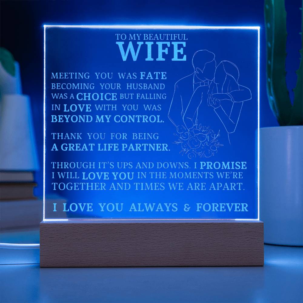 To My Beautiful Wife, Meeting You Was Fate