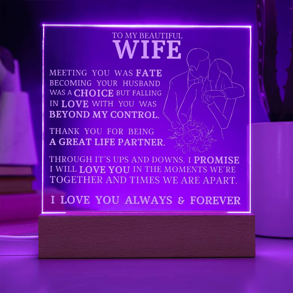 To My Beautiful Wife, Meeting You Was Fate