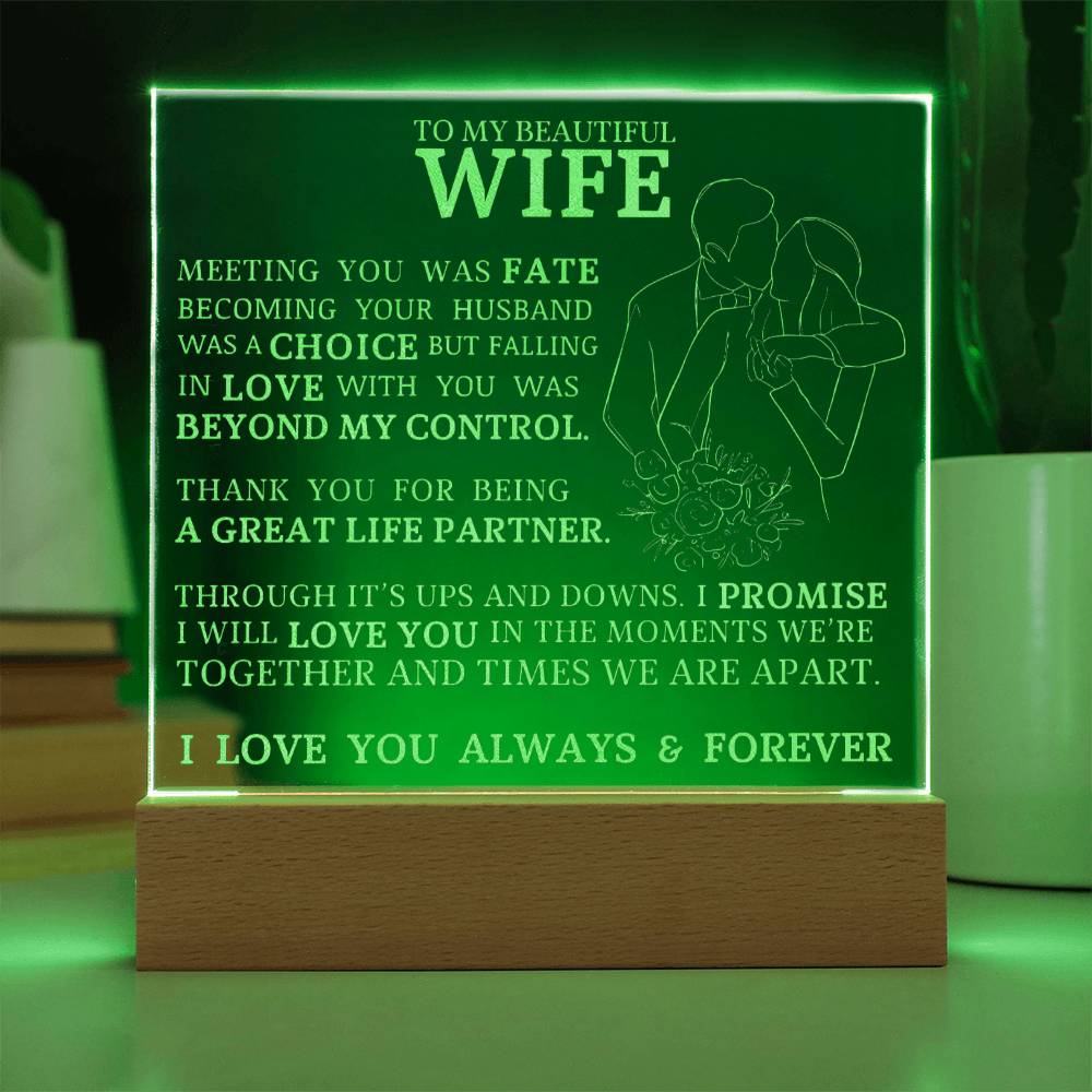 To My Beautiful Wife, Meeting You Was Fate