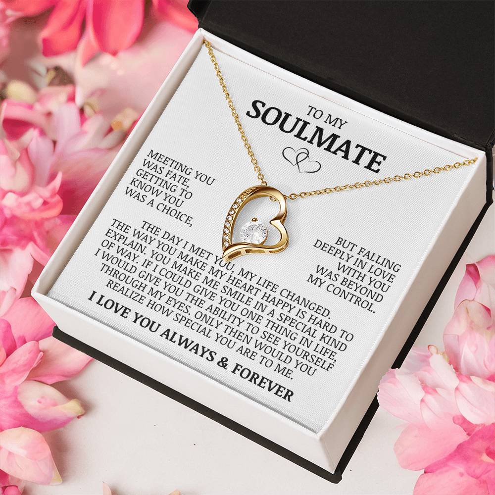 To My Soulmate "Meeting You Was Fate" Forever Love Necklace