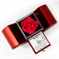 Love Knot Necklace with Red Heart Rose Box - Sorry For Hurting You, My Love