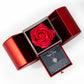Love Knot Necklace with Red Heart Rose Box - "I Am Truly Sorry"