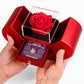 Love Knot Necklace with Red Heart Rose Box - I'm Sorry I Hurt You
