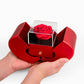 Love Knot Necklace with Red Heart Rose Box - I'm Sorry