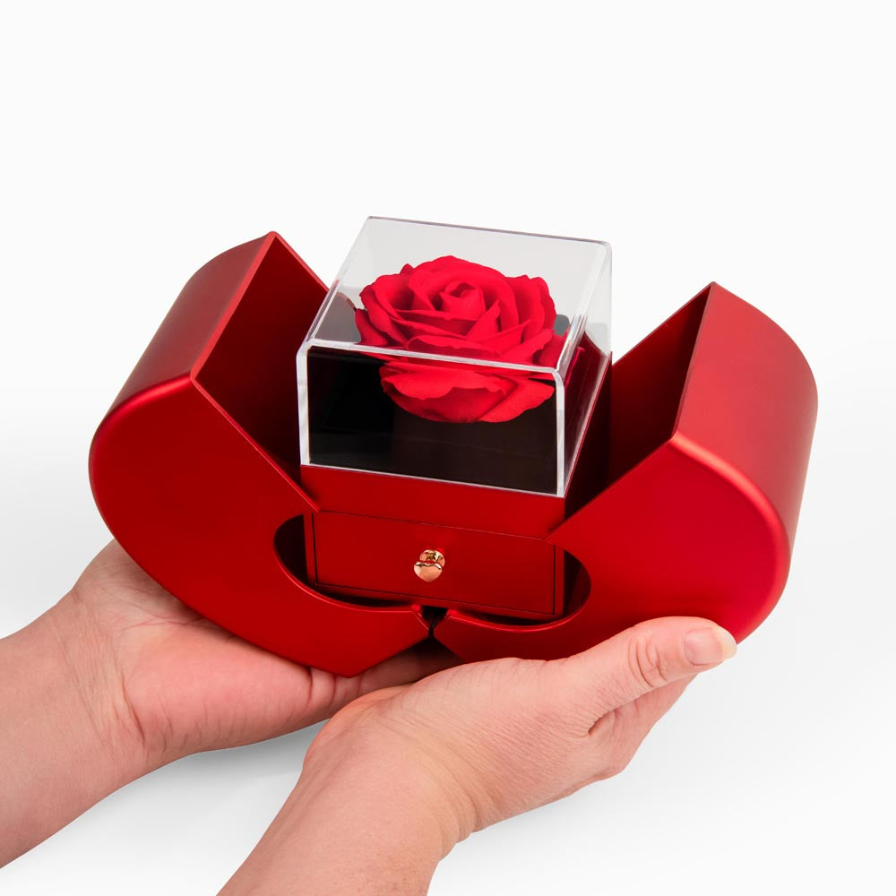 Love Knot Necklace with Red Heart Rose Box - Sorry For Hurting You, My Love