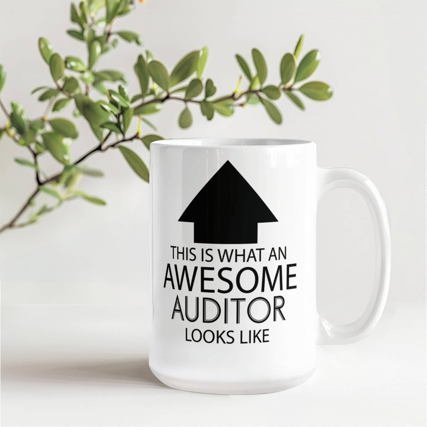 This is What an Awesome Auditor Looks Like
