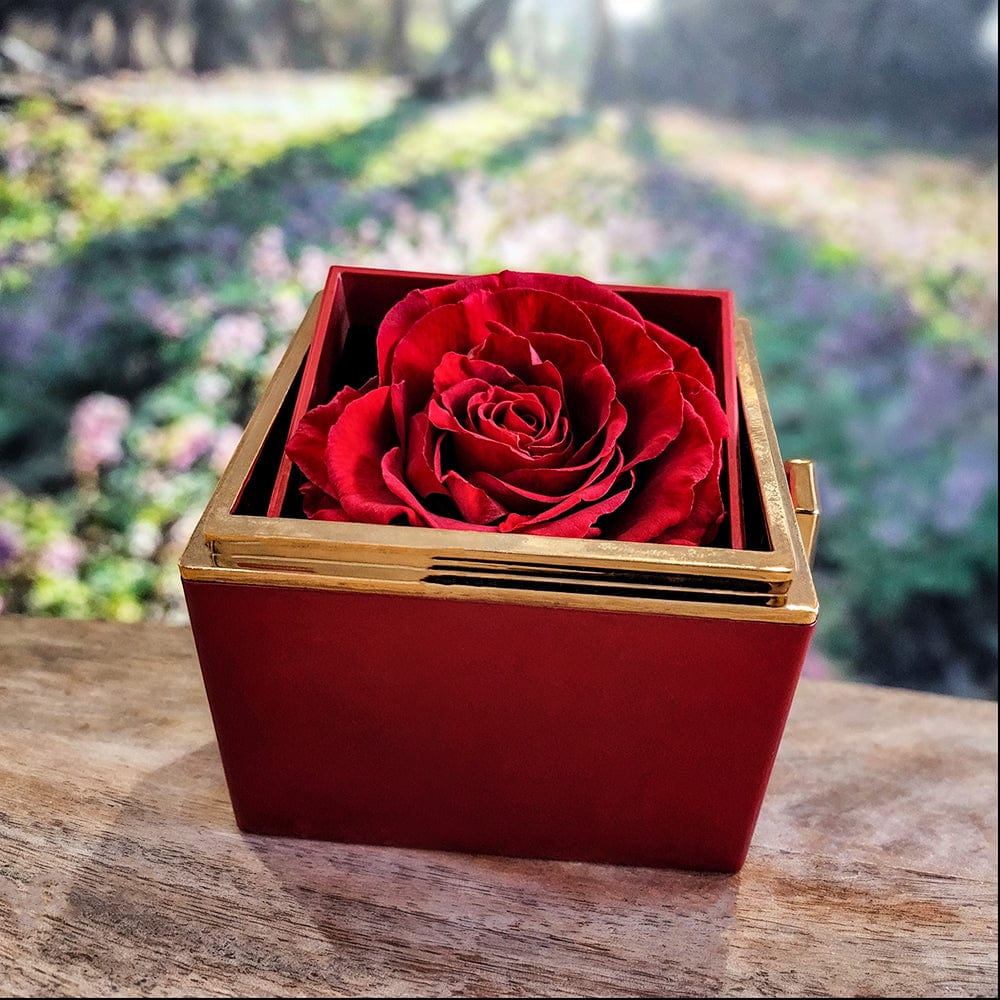 To My Daughter "Love You, Protect You and Believe In You" Love Knot Necklace with Preserved Red Rose