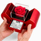 Forever Heart Necklace with Red Heart Rose Box - I'm Sorry I Hurt You