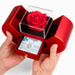 Forever Love Necklace with Red Heart Rose Box - To My Daughter "My Love Is Your Strength"